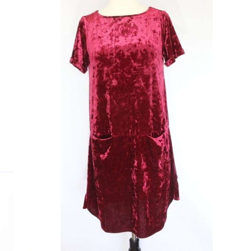 Size Large Red Velvet Dress New Cupio